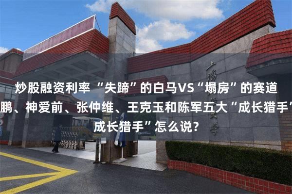炒股融资利率 “失蹄”的白马VS“塌房”的赛道！看姚志鹏、神爱前、张仲维、王克玉和陈军五大“成长猎手”怎么说？