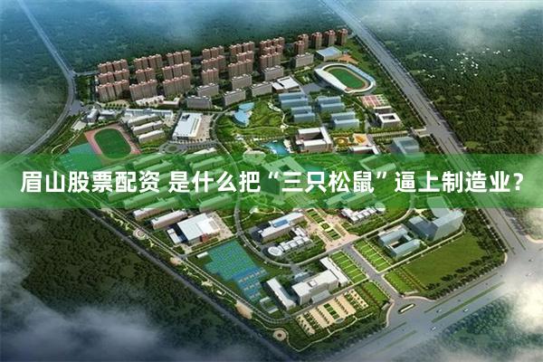 眉山股票配资 是什么把“三只松鼠”逼上制造业？