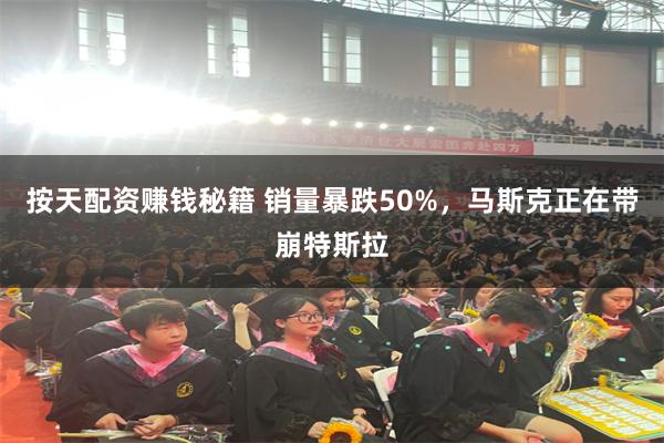 按天配资赚钱秘籍 销量暴跌50%，马斯克正在带崩特斯拉