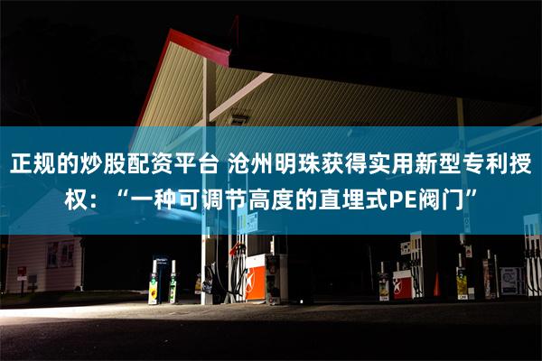 正规的炒股配资平台 沧州明珠获得实用新型专利授权：“一种可调