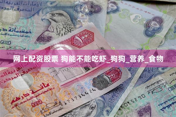 网上配资股票 狗能不能吃虾_狗狗_营养_食物