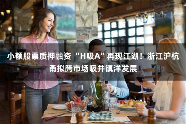 小额股票质押融资 “H吸A”再现江湖！浙江沪杭甬拟跨市场吸并