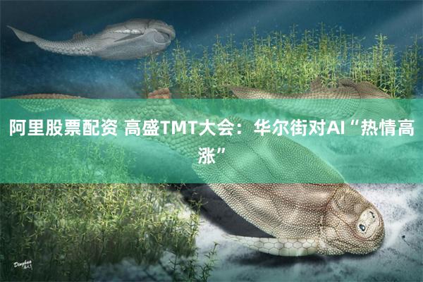 阿里股票配资 高盛TMT大会：华尔街对AI“热情高涨”