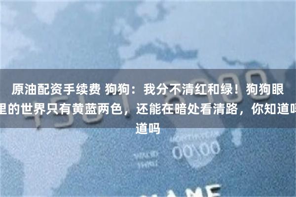 原油配资手续费 狗狗：我分不清红和绿！狗狗眼里的世界只有黄蓝